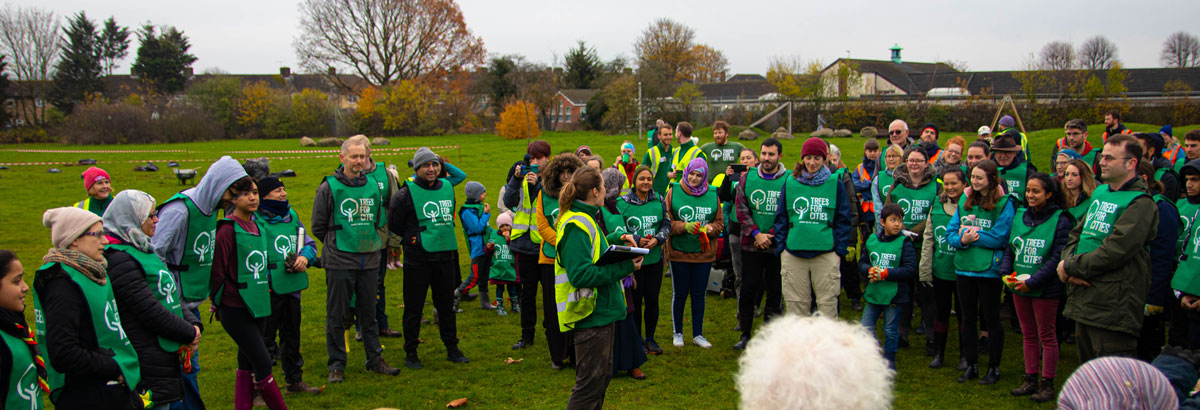 Group of people in a field all wearing Trees for Cities bibs