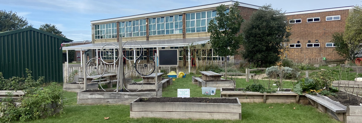 School building with lots of wooden planters