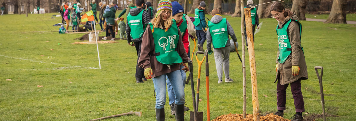 People in grassy area with Trees for Cities bibs planting trees